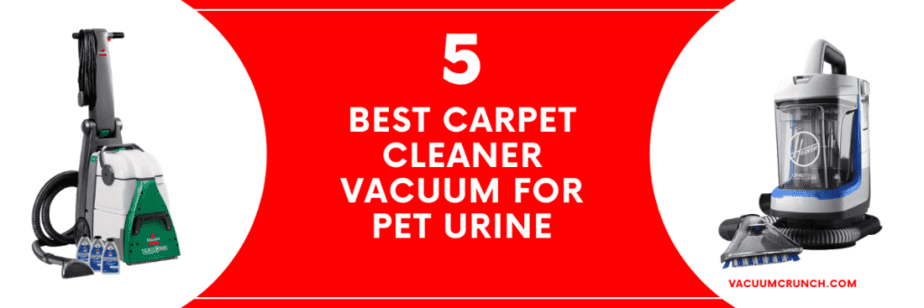 Best Carpet Cleaner Vacuum For Pet Urine