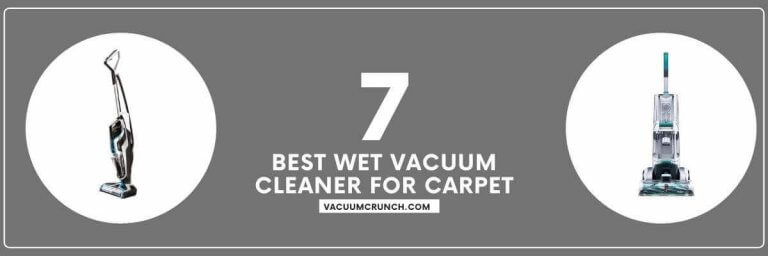Best Wet Vacuum Cleaner for Carpet